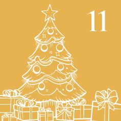Day 11
