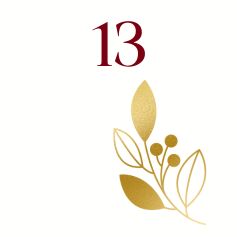 Day 13