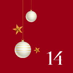 Day 14