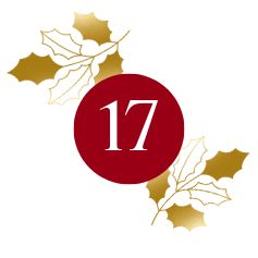 Day 17