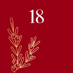 Day 18