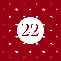Day 22