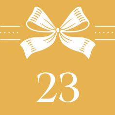 Day 23