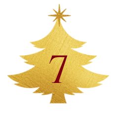 Day 7